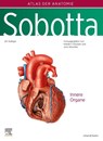 Sobotta, Atlas der Anatomie des Menschen Band 2 - Friedrich Paulsen ; Jens Waschke - 9783437441400