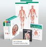 Sobotta Atlas der Anatomie, 3 Bände + Lerntabellen + Poster Collection im Schuber und 6-monatiger Zugang zur Complete Anatomy-App - Friedrich Paulsen ; Jens Waschke - 9783437441707