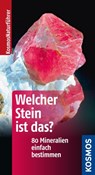 Welcher Stein ist das? - Rupert Hochleitner - 9783440142547