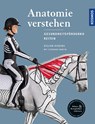Anatomie verstehen - Pferde gesundheitsfördernd reiten - Das Praxisbuch - Gillian Higgins ; Stephanie Martin - 9783440144596