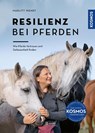 Resilienz bei Pferden - Marlitt Wendt - 9783440168899