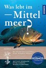 Was lebt im Mittelmeer? - Matthias Bergbauer ; Bernd Humberg ; Manuela Kirschner - 9783440184646