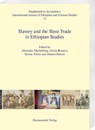 Slavery and the Slave Trade in Ethiopian Studies - Giulia Bonacci ; Alexander Meckelburg ; Serena Tolino - 9783447115803