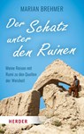 Der Schatz unter den Ruinen - Marian Brehmer - 9783451375163