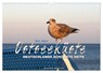 An der Ostseeküste - Deutschlands schönste Seite (Wandkalender 2026 DIN A3 quer), CALVENDO Monatskalender -  - 9783457650509