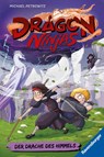 Dragon Ninjas, Band 3: Der Drache des Himmels - Michael Petrowitz - 9783473405206