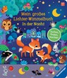 Mein großes Lichter-Wimmelbuch: In der Nacht - Sandra Grimm - 9783473418510