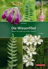 Die Wiesenfibel - Ralf Worm - 9783494018577