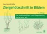 Ziergehölzschnitt in Bildern - Hans Heinrich Möller - 9783494019079