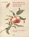 Maria Sibylla Merian zwischen Malerei und Naturforschung - Carin Grabowski - 9783496015710