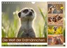 Die Welt der Erdmännchen (Wandkalender 2027 DIN A4 quer), CALVENDO Monatskalender -  - 9783516794731