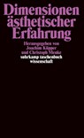 Dimensionen ästhetischer Erfahrung - Joachim Küpper ; Christoph Menke - 9783518292402