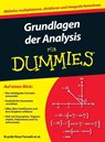 Grundlagen der Analysis fur Dummies - Krystle Rose Forseth ; Christopher Burger ; Michelle Rose Gilman ; Deborah J. Rumsey - 9783527706419