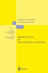 Metric Spaces of Non-Positive Curvature - Martin R. Bridson ; Andre Hafliger - 9783540643241