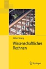 Wissenschaftliches Rechnen - Gilbert (Massachusetts Institute of Technology) Strang ; Micaela Krieger ; K Lippert - 9783540784944