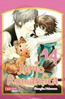 Junjo Romantica 14 - Shungiku Nakamura - 9783551751485
