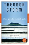 Das große Lesebuch - Theodor Storm - 9783596906260