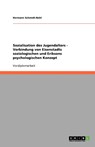 Sozialisation Des Jugendalters - Hermann Schmidt-Nohl - 9783638774758