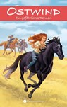 OSTWIND - Abenteuerreihe 5 - Ein gefährliches Rennen - Rosa Schwarz - 9783641303365
