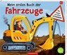 Mein erstes Buch der Fahrzeuge - Sandra Grimm - 9783649649472