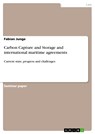 Carbon Capture and Storage and international maritime agreements - Fabian Junge - 9783656084464