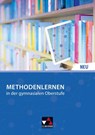 Methodenlernen in der gymnasialen Oberstufe - NEU - Elke Deparade - 9783661290034