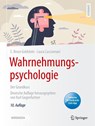 Wahrnehmungspsychologie - E. Bruce Goldstein ; Laura Cacciamani - 9783662651452
