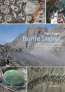 Bunte Steine - Hans Egger - 9783702509910