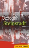 Steinstadt - Selim Özdogan - 9783709975480
