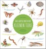 Das große Buch der kleinen Tiere - Nathalie Tordjman - 9783730610565