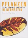 Pflanzen in Bernstein - Ambertop ; Carsten Gröhn - 9783730822449