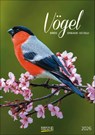 Vögel 2026 -  - 9783731883647