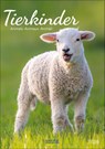 Tierkinder 2026 -  - 9783731886471