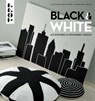 Black & White - Constanze Diehl-Hupfer ; Magdalena Melzer - 9783735806581