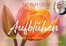Aufblühen - Anselm Grün - 9783736504653