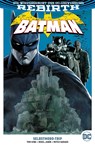 Batman - Tom King ;  Mikel Janín ;  Mitch Gerads - 9783741607424