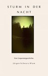 Sturm in der Nacht - Jürgen Schwarz Blum - 9783741845888