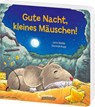 Gute Nacht, kleines Mäuschen! - Lena Walde - 9783743216518