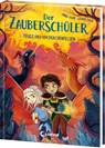 Der Zauberschüler (Band 6) - Feuer über dem Drachenfelsen - Anna Taube - 9783743217119