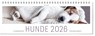 Tischkalender Hunde 2026 -  - 9783747206850