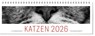 Tischkalender Katzen 2026 -  - 9783747206867