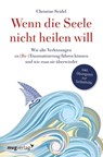 Wenn die Seele nicht heilen will - Christine Seidel - 9783747401477