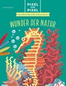 Pixel für Pixel - Das erstaunliche Ausmalbuch - Daniela Geremia - 9783747404638