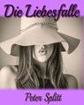 Die Liebesfalle - Peter Splitt - 9783748588481
