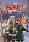 Die Ponys von Lillasund 3. Winterzauber im Stall - Kathrin Lena Orso - 9783751205931