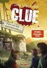 CLUE 2. Jagd auf die Juwelendiebe - Jørn Lier Horst - 9783751206006