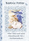 Peter Hase und seine Mausfreunde Teil 1 - Beatrix Potter ; Elizabeth M. Potter - 9783752858181