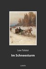 Im Schneesturm - Lew Tolstoi - 9783752995442
