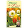 Vitamine fürs Herz 2026 -  - 9783754857069
