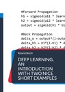 Deep Learning, an introduction with two nice short examples - Roland Büchi - 9783756832637